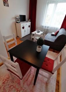 Rubin Apartment - Kielce - 8