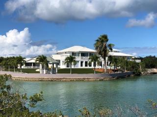 Palm Point Loft - 0