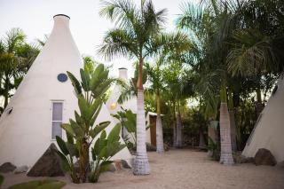 Tribu Todos Santos - Todos los Santos - 4