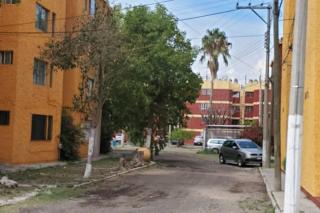 El corazón de Celaya - Celaya - 3