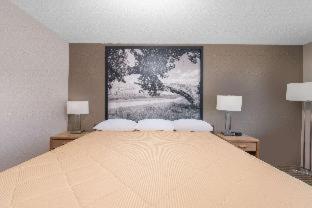 Super 8 by Wyndham Bowman - Bowman - 4