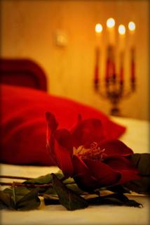 Hotel Zaodrze - Opole - 8