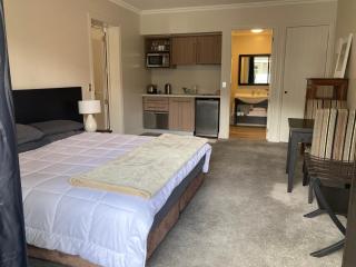 Cardrona Valley Studio (17) - Cardrona - 0