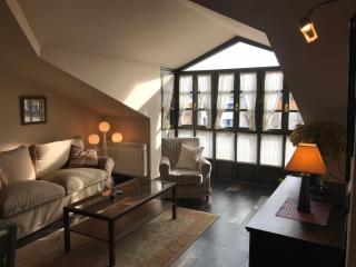 Apartamentos Ebro Reinosa - 6