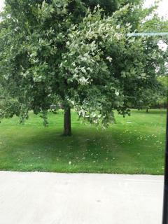 Lettermore 1 Apartment - Rathdrum - 7