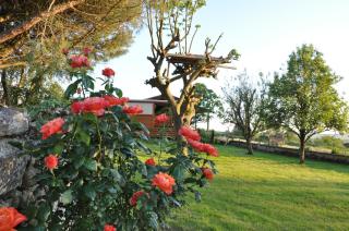 Roulotte Beaulieu - Saint-Jean-dʼAngle - 5