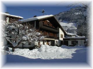 Bichlhof - Ramsau im Zillertal - 9