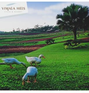 vila vimala hills - 5