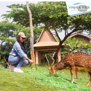 vila vimala hills - 6