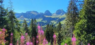 Ferienwohnung Ankerplatz - 5