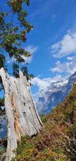 Ferienwohnung Ankerplatz - 3