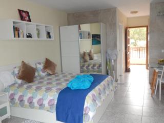 Apartamento Monis Natura - Icod de los Vinos - 9
