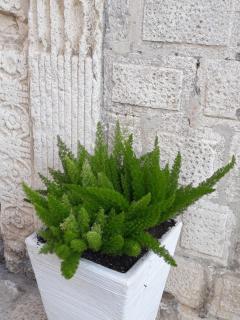 Le Bifore B&B - Molfetta - 3