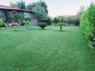 Dimitris Villas - villa 4 - Ormos Panagias - 4