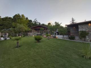 Dimitris Villas - villa 4 - Ormos Panagias - 2