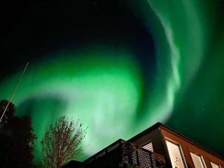 Waterfront Senja - 1