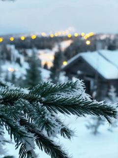 Ylämaja - with a stunning view - Ruka - 5