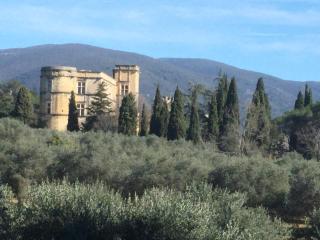 Lourmarin,Domaine de Casteuse Appartement LES OLIVIERS - Lourmarin - 5