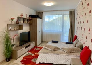 Apartament Mara - Sinaia - 3