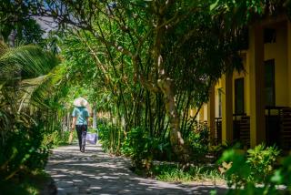 White Sand Resort Mui Ne - Mui Ne - 7