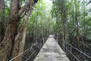 Mata Guesthouse - Ko Kood - 5