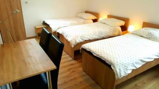 Apartamenty Daisy - Goczałkowice-Zdrój - 1
