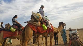 Marvin Jaisalmer - 1