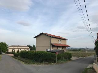 Le Petit Gîte de Javernières Etage - Villié-Morgon - 1