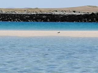 The Fisherman's Snug self catering North Uist - Paible - 4