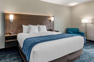 Comfort Inn & Suites Troutville - Roanoke North - Daleville - Troutville - 6