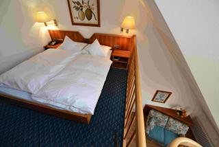 Rheinhotel Larus - Kaltenengers - 8