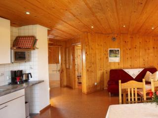 Hinterbauer Hof - Oberharmersbach - 3