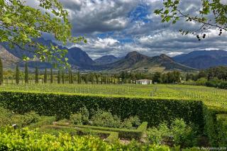 Lily Pond House at Le Lude - Franschhoek - 8