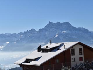 Domaine du Parc 101B - Leysin - 4