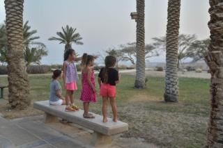 SPNI Ein Gedi Field School - 1