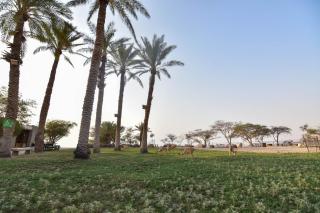 SPNI Ein Gedi Field School - 1