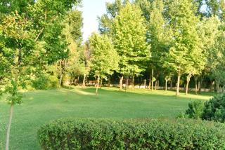 Les Magnolias Hotel - Primorsko - 7