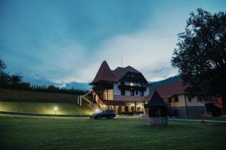 VILLA GHERMAN - Sălciua de Jos - 6
