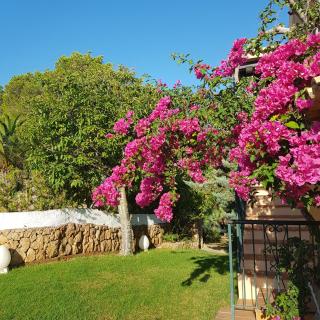 Casa Naya Rural - Sant Llorenç de Balafia - 8