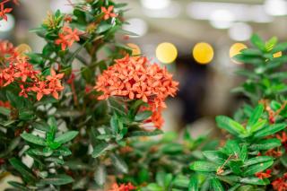 Hotel Caquetá Real HSC - 1