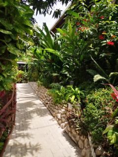 Hotel Belvedere Playa Samara Costa Rica - Sámara - 4