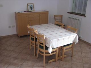 Tourist Farm Petelin-Durcik - Pliskovica - 7