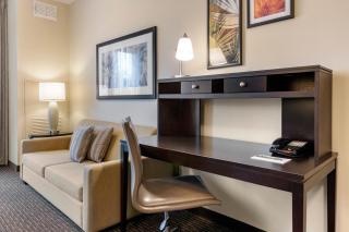 Staybridge Suites St. Petersburg FL by IHG - St Petersburg - 8