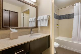 Staybridge Suites St. Petersburg FL by IHG - St Petersburg - 1