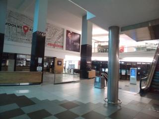 THE MEDIA Property Rosebank - 1