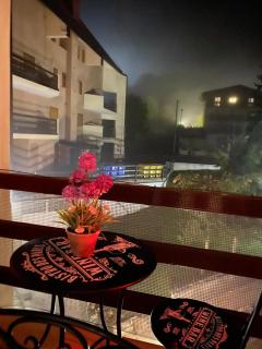 LA TANA DEL LUPO - 3