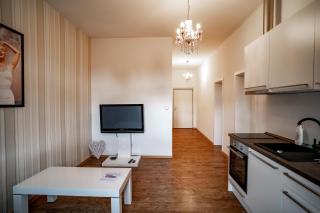 Apartmany Pisek - Písek - 5