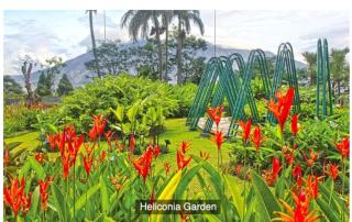 vila vimala hills - 7