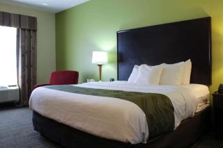 Quality Inn Florence East - 9