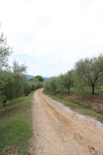 Casa Bella - Torrita di Siena - 3
